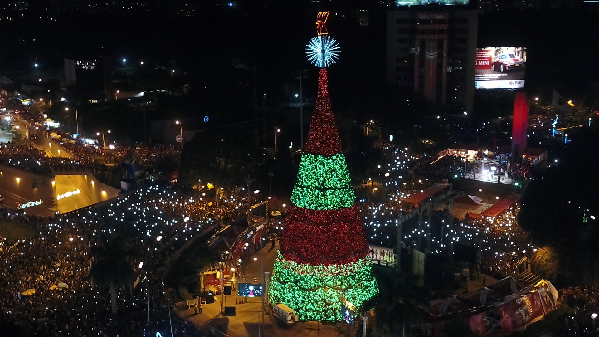 El Festival Árbol Gallo llevará el espíritu de las fiestas de fin de