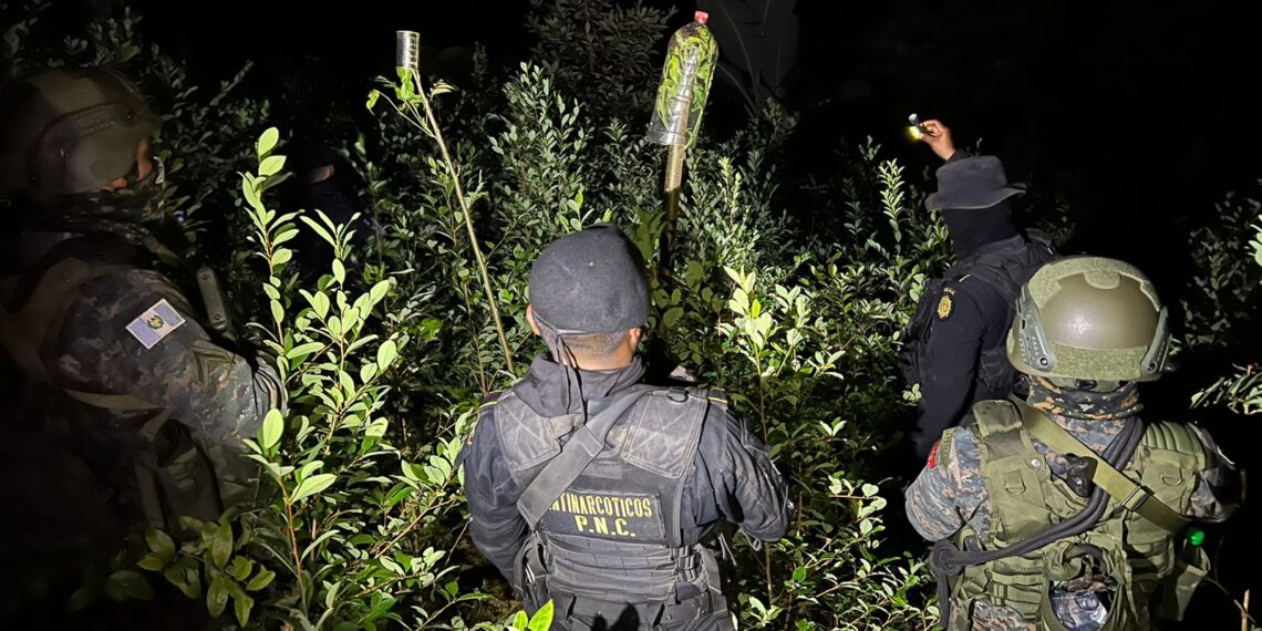 Elementos del Ejército de Guatemala en coordinación con la Subdirección General de Análisis de Información Antinarcótica (SGAIA) ejecutaron un operativo en Alta Verapaz.