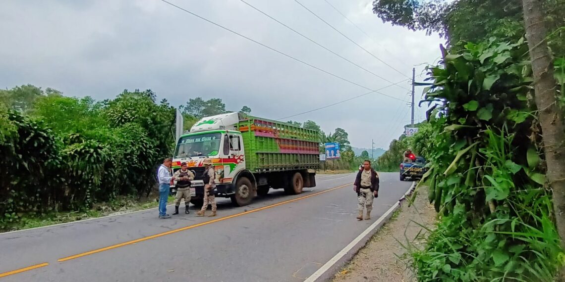Como parte de las acciones para promover la legalidad en el sector forestal de Guatemala, agentes de la Policía Nacional Civil (PNC) mantienen operativos en el territorio.
