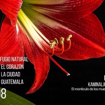 EntreCultura 212: Jardín Botánico, un refugio natural en el corazón de la ciudad de Guatemala