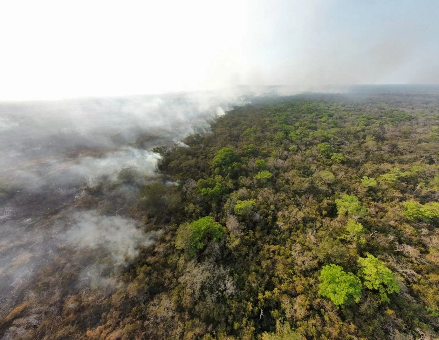 El Centro de Operaciones de Emergencia (COE), mantiene el monitoreo y combate de incendios forestales de 24 incendios activos en Petén registrados en distintos puntos de ese departamento, como en la Reserva de la Biosfera Maya y en las áreas protegidas del sur de Petén.