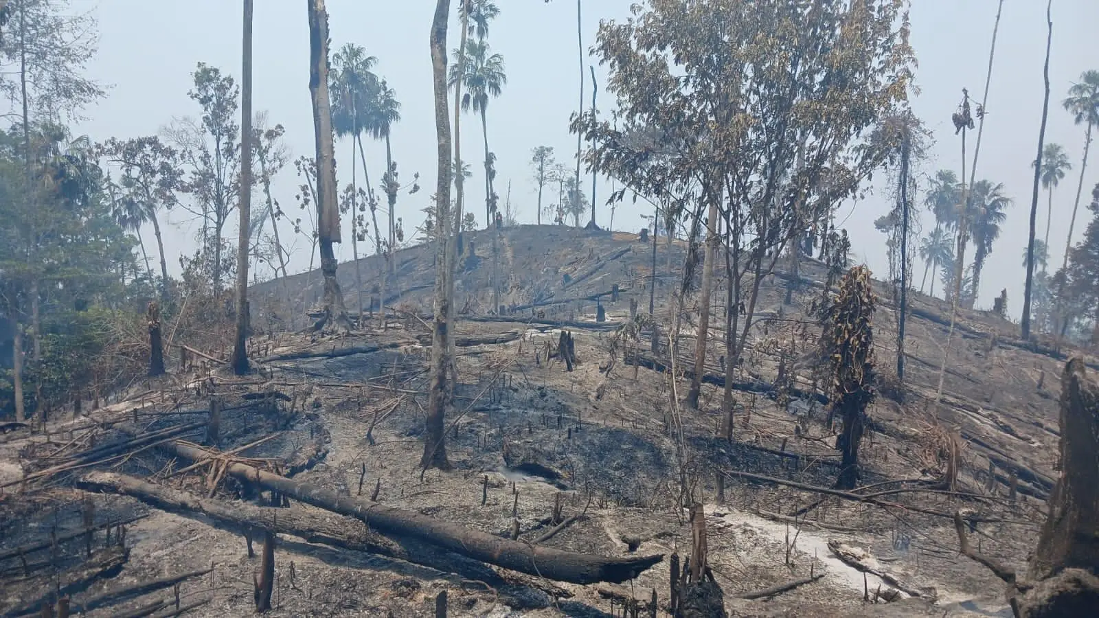Alcaldes de Petén combaten los incendios "con las manos"