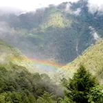 Sembrando futuro: INAB celebra la Madre Tierra con más bosques y vida